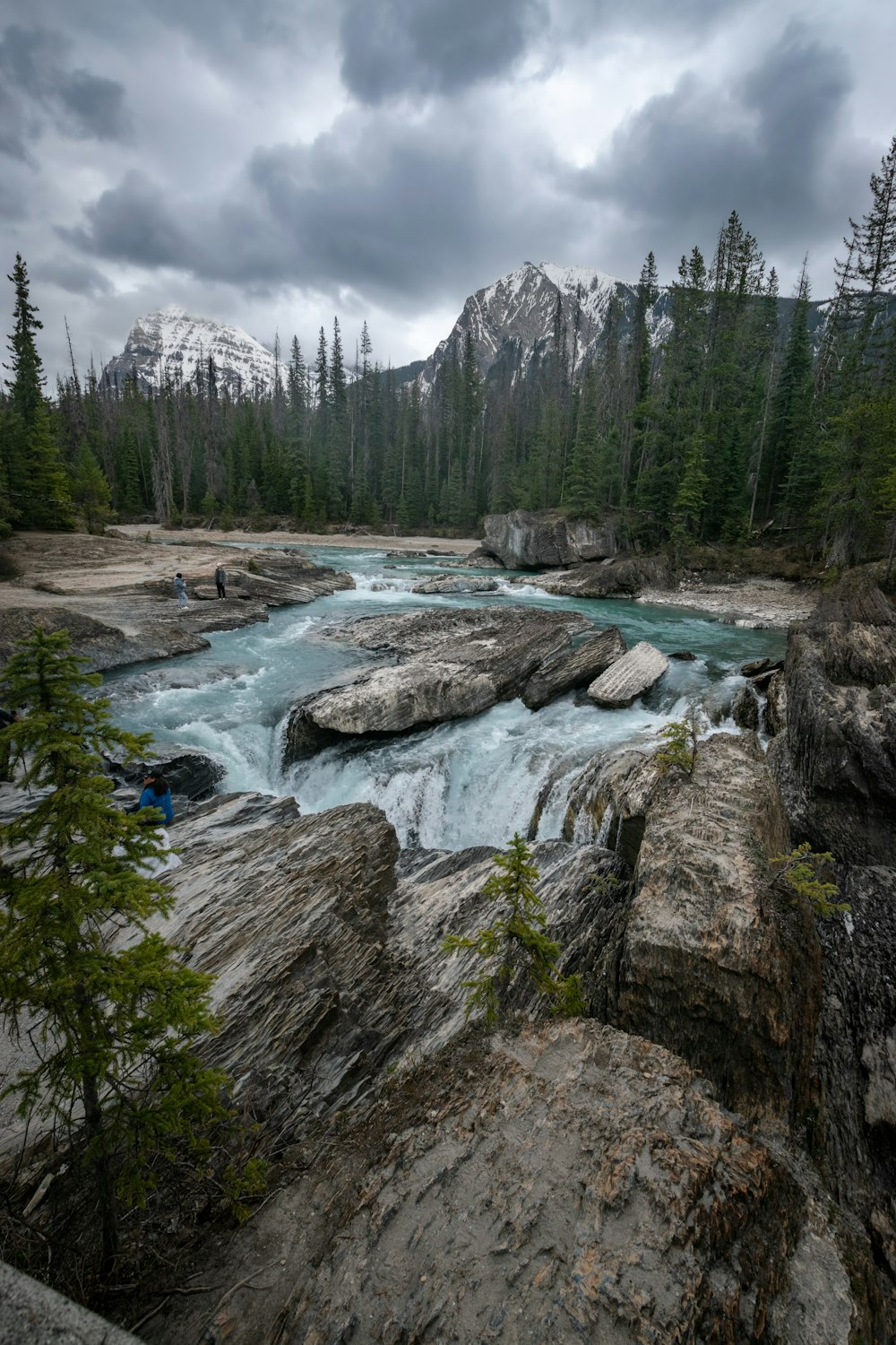 a river running through a forest filled with rocks