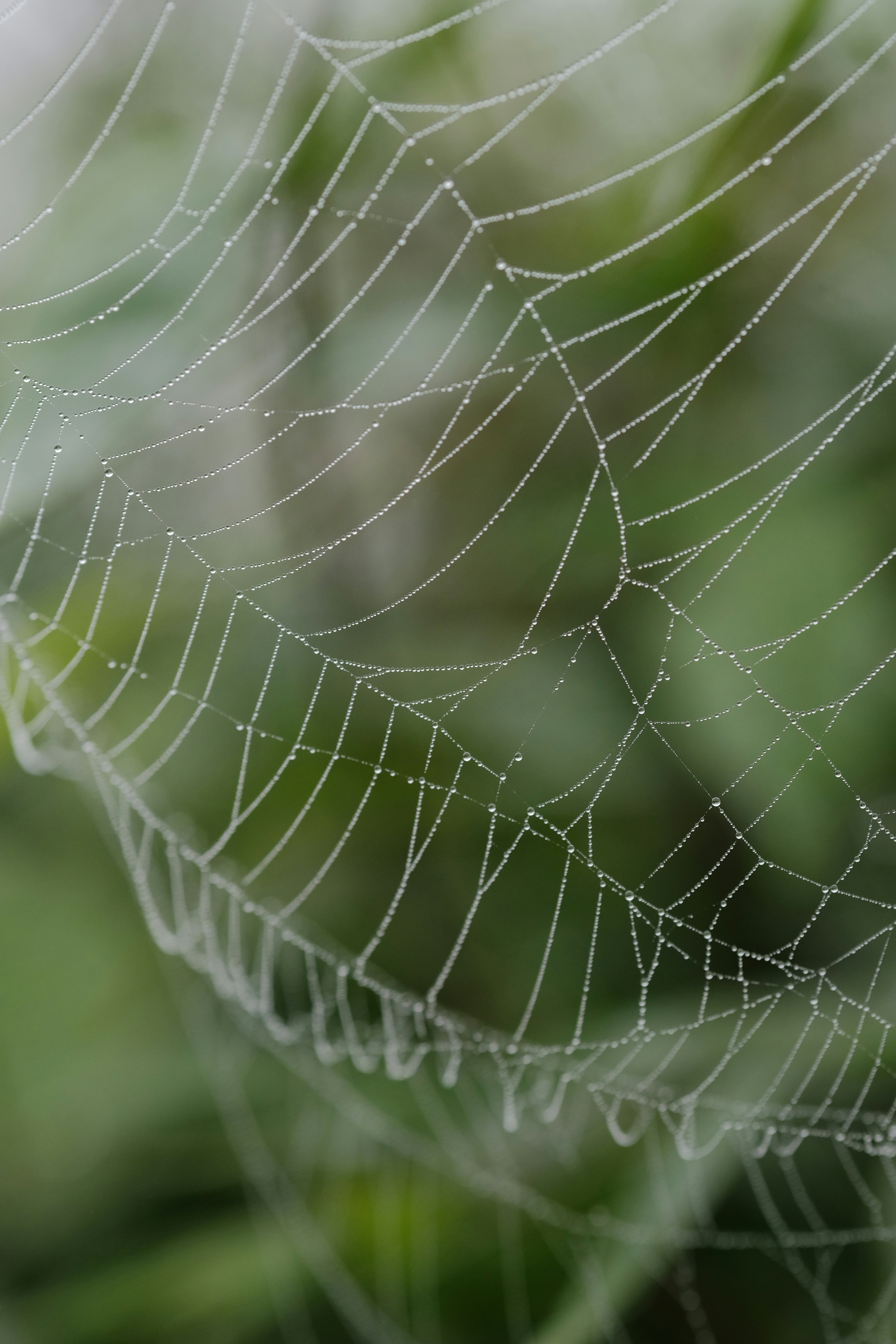 Photo by nguyentrungnguyen