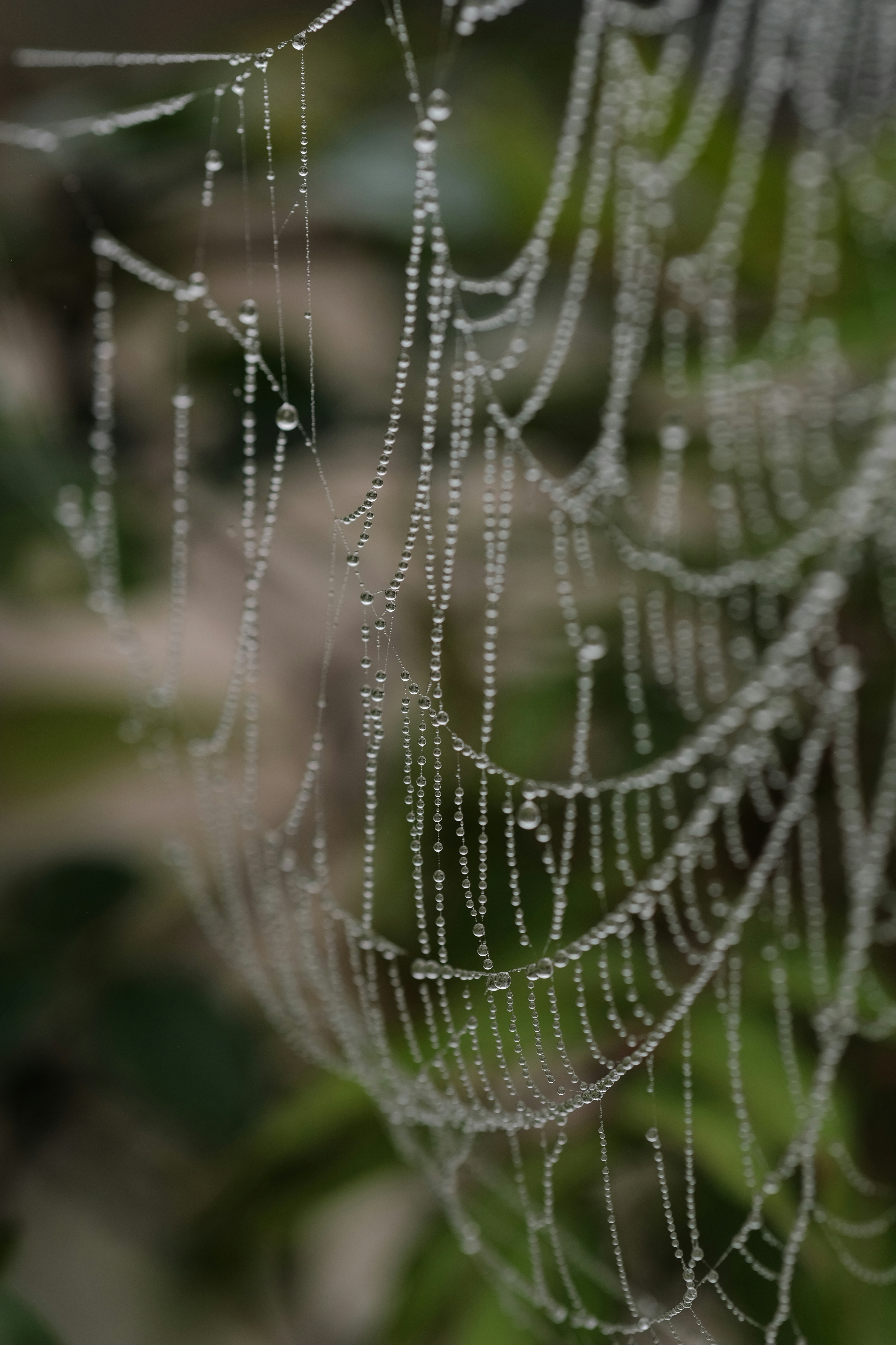 Photo by nguyentrungnguyen