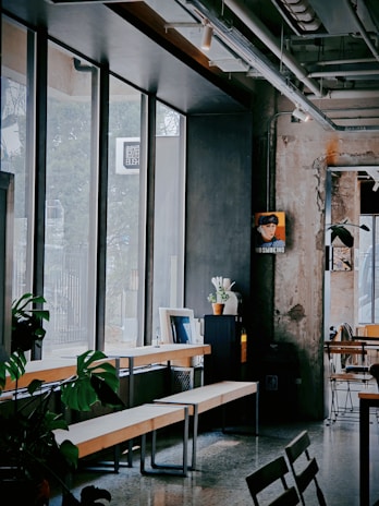 A minimalist indoor event space decorated with potted plants and natural wood elements, bathed in warm natural light.