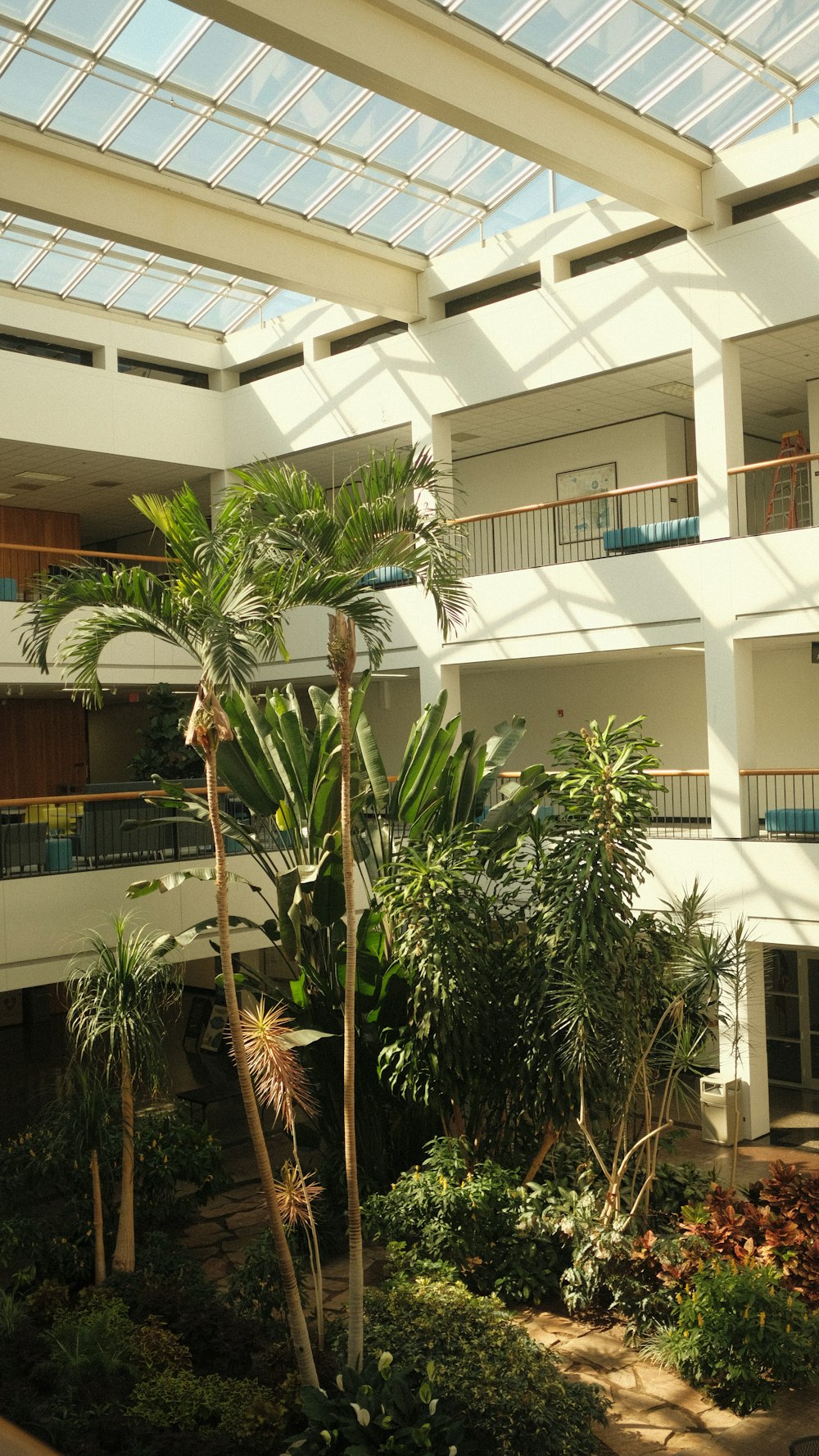 a view of a building with a lot of plants in it