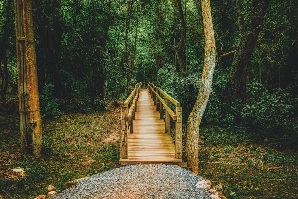 a wooden bridge in the middle of a forest