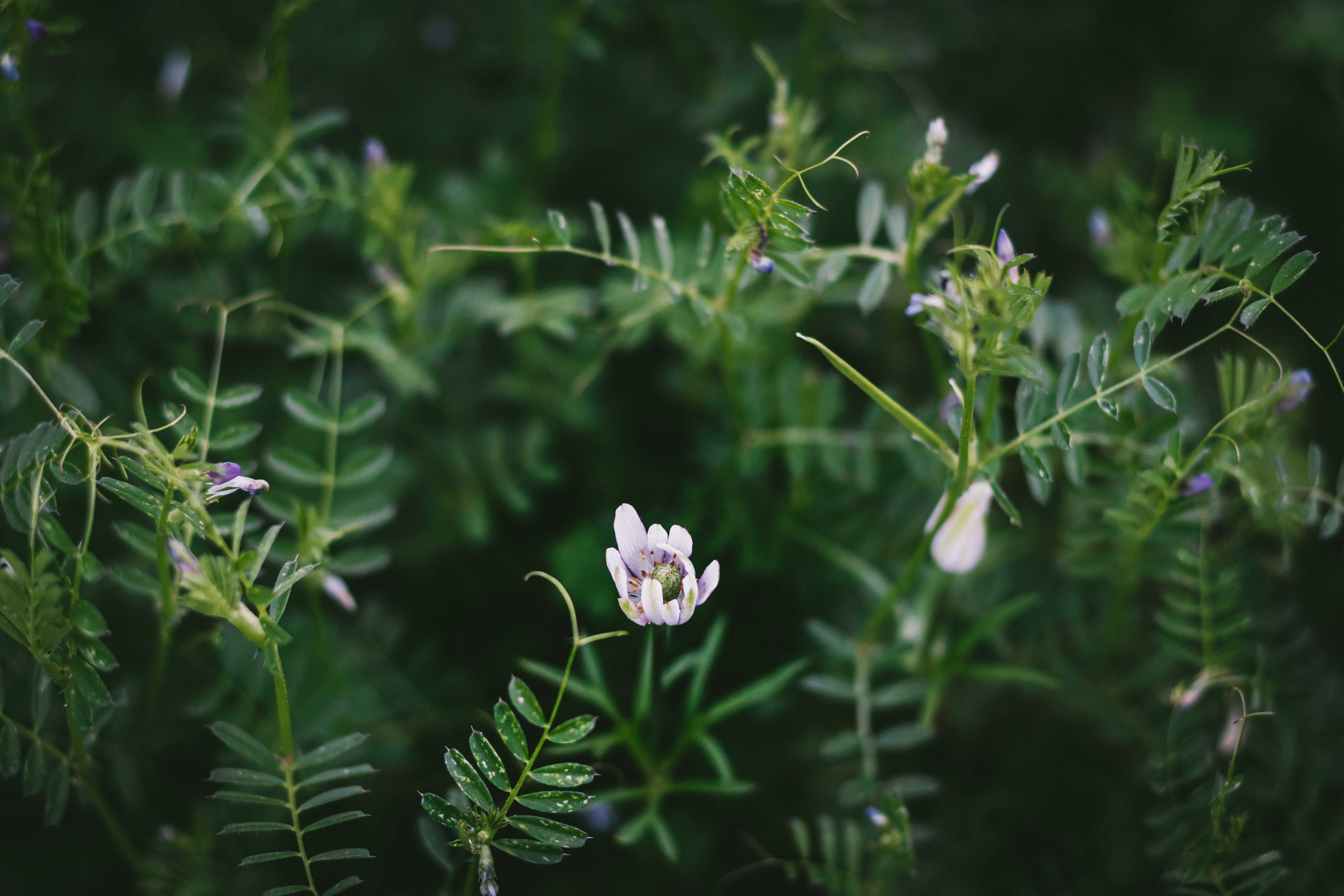 Photo by brice_cooper18