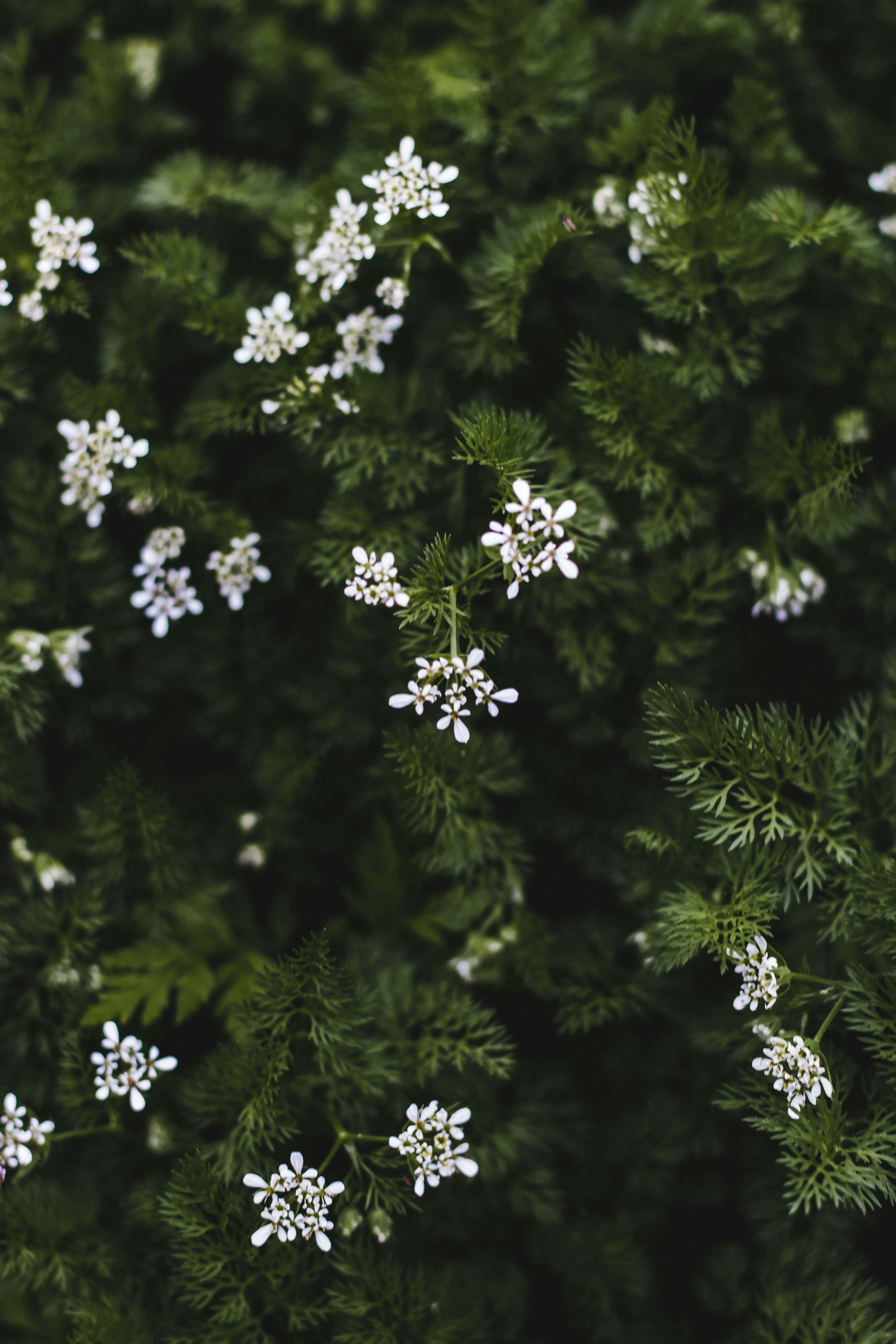 Photo by brice_cooper18