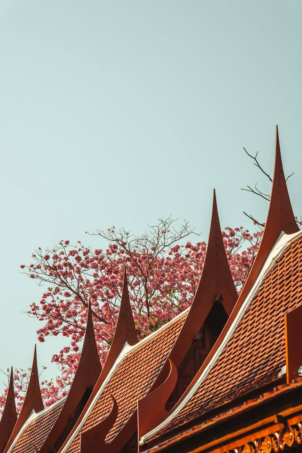 the roof of a building with a tree in the background