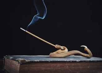 A mystical incense holder releasing fragrant smoke amidst a backdrop of spiritual books
