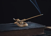 An ancient serpent coiled around a bronze staff, symbolizing wisdom and transformation.
