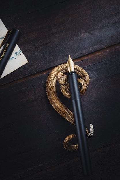 Close-up of a sleek black fountain pen resting on a textured leather notebook