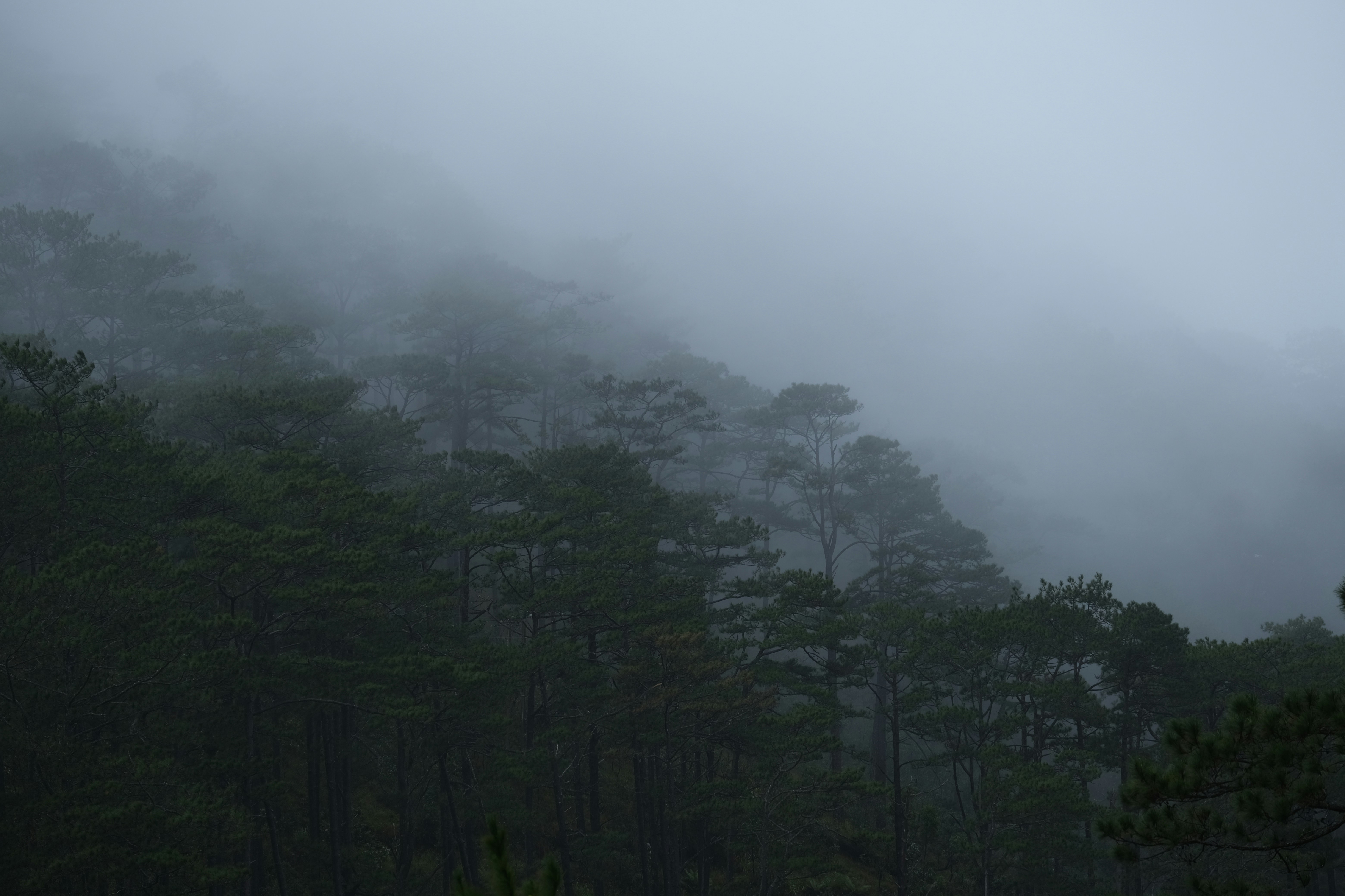 Photo by kyuubei07012008