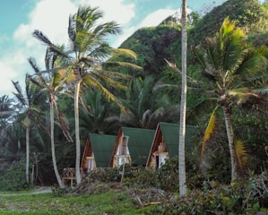 Cozy eco-friendly lodging options including Casa Luz, Casa Bambú, and Casa Tráiler nestled in nature