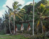 Three wooden cabins with green roofs are nestled among lush green palm trees and dense foliage. The scene suggests a tropical environment with a clear blue sky above.