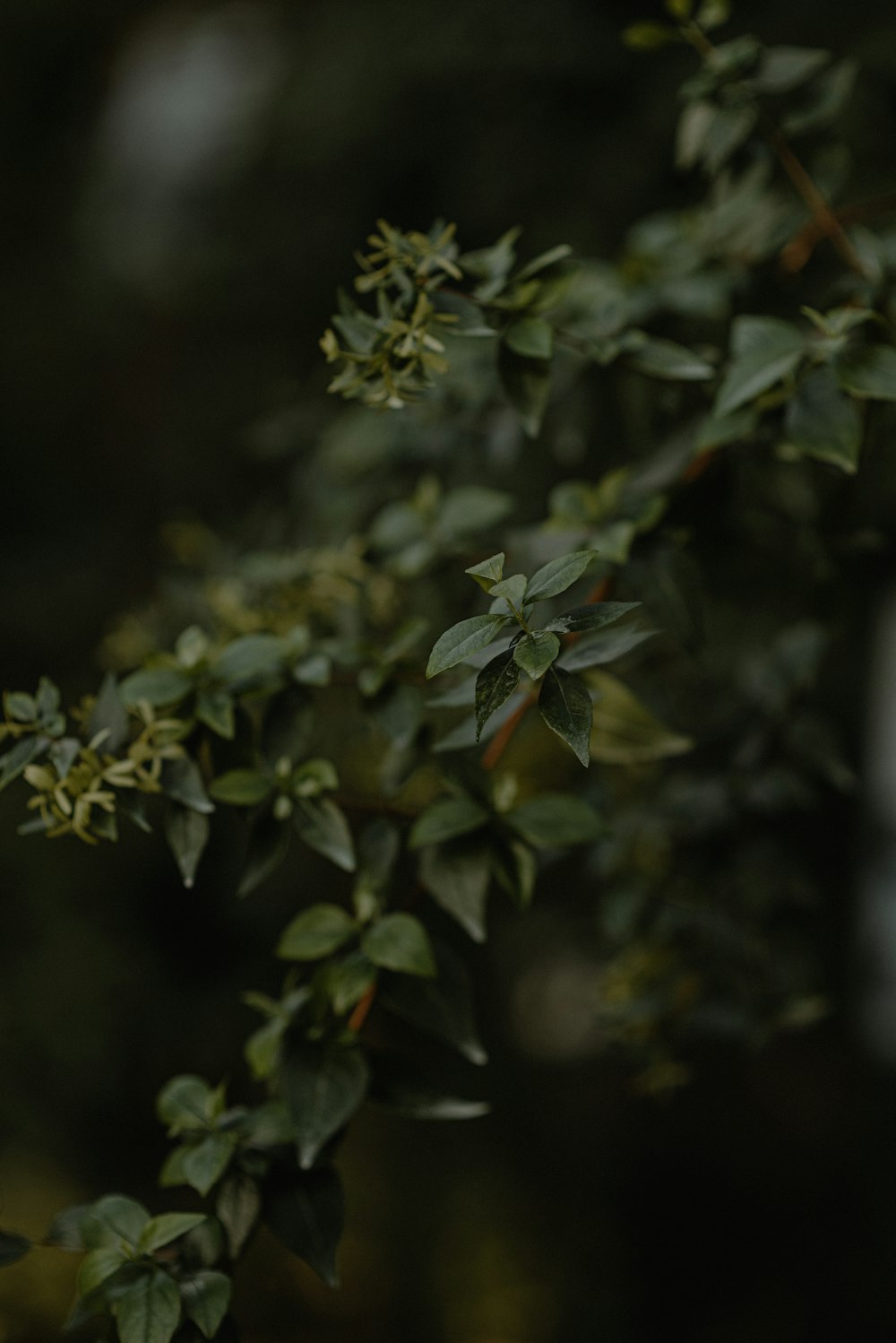 a bird perched on top of a tree branch