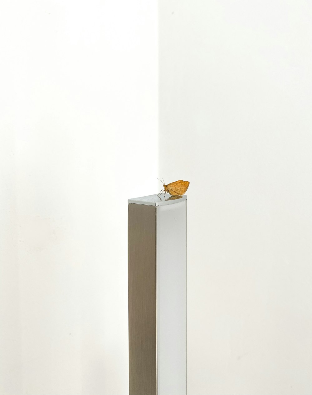 a small yellow bird sitting on top of a white pedestal