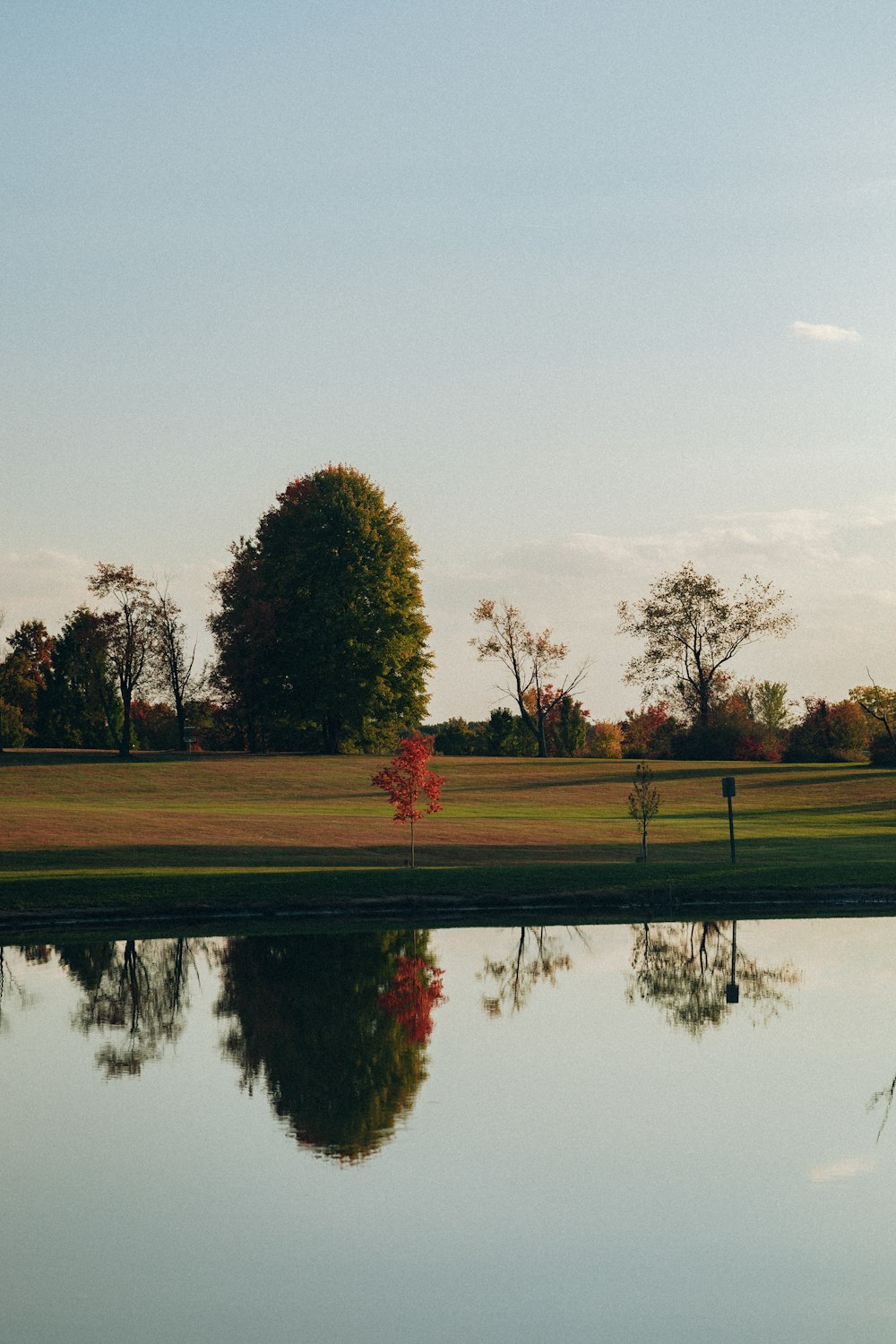 a large body of water with trees in the background