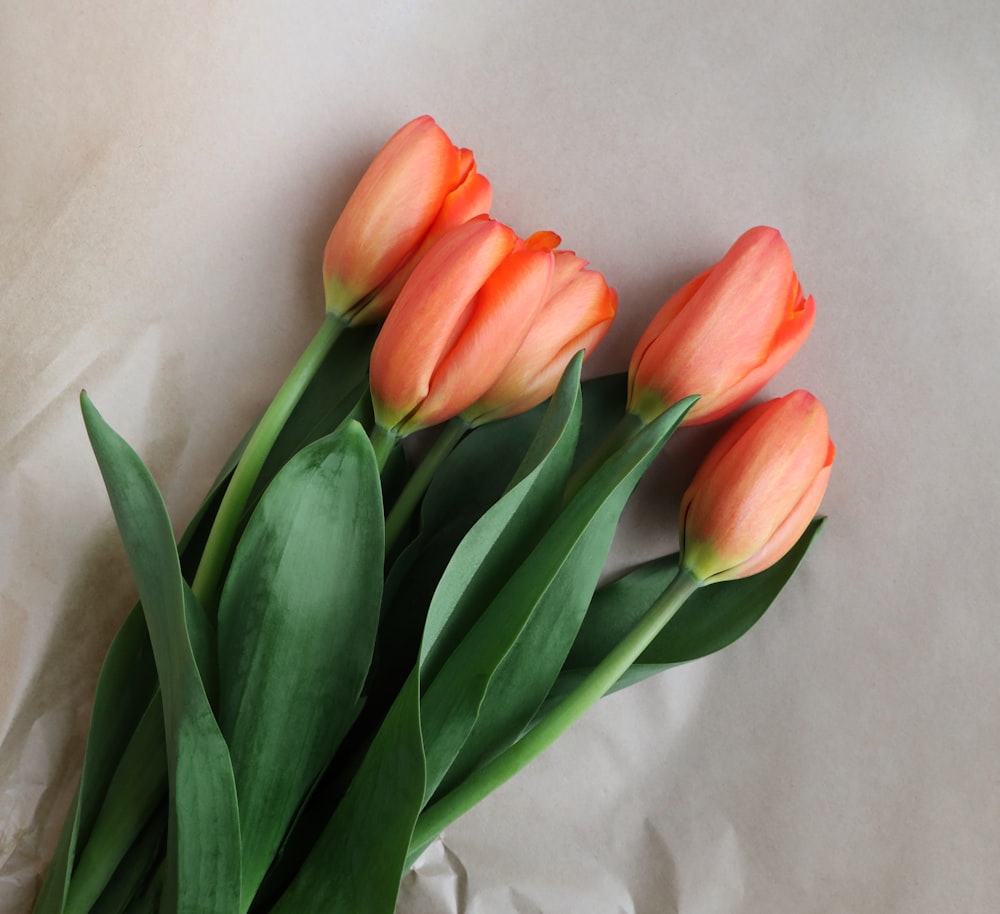 a bunch of orange tulips sitting on top of a white sheet