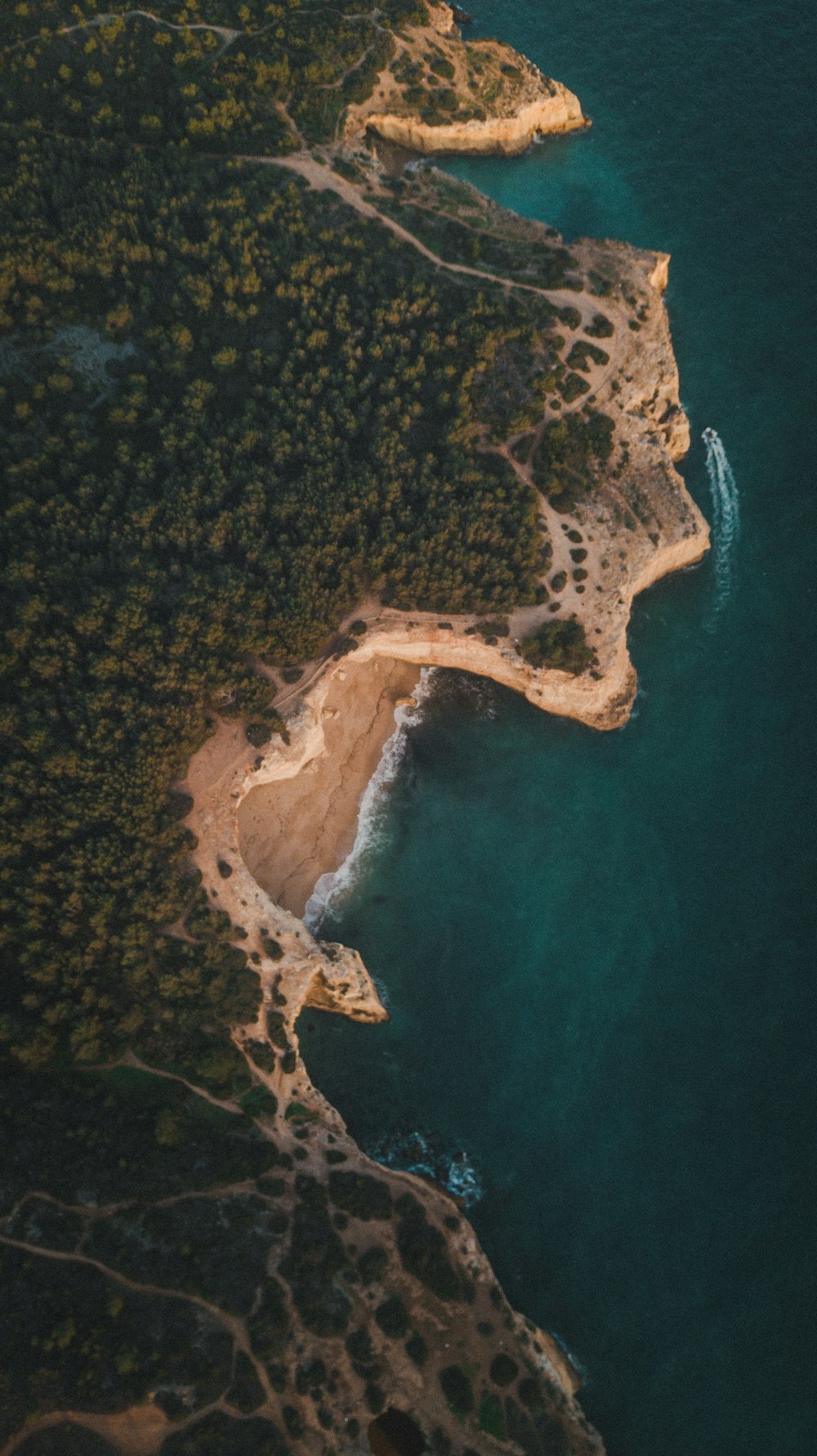 an aerial view of a beach and a body of water