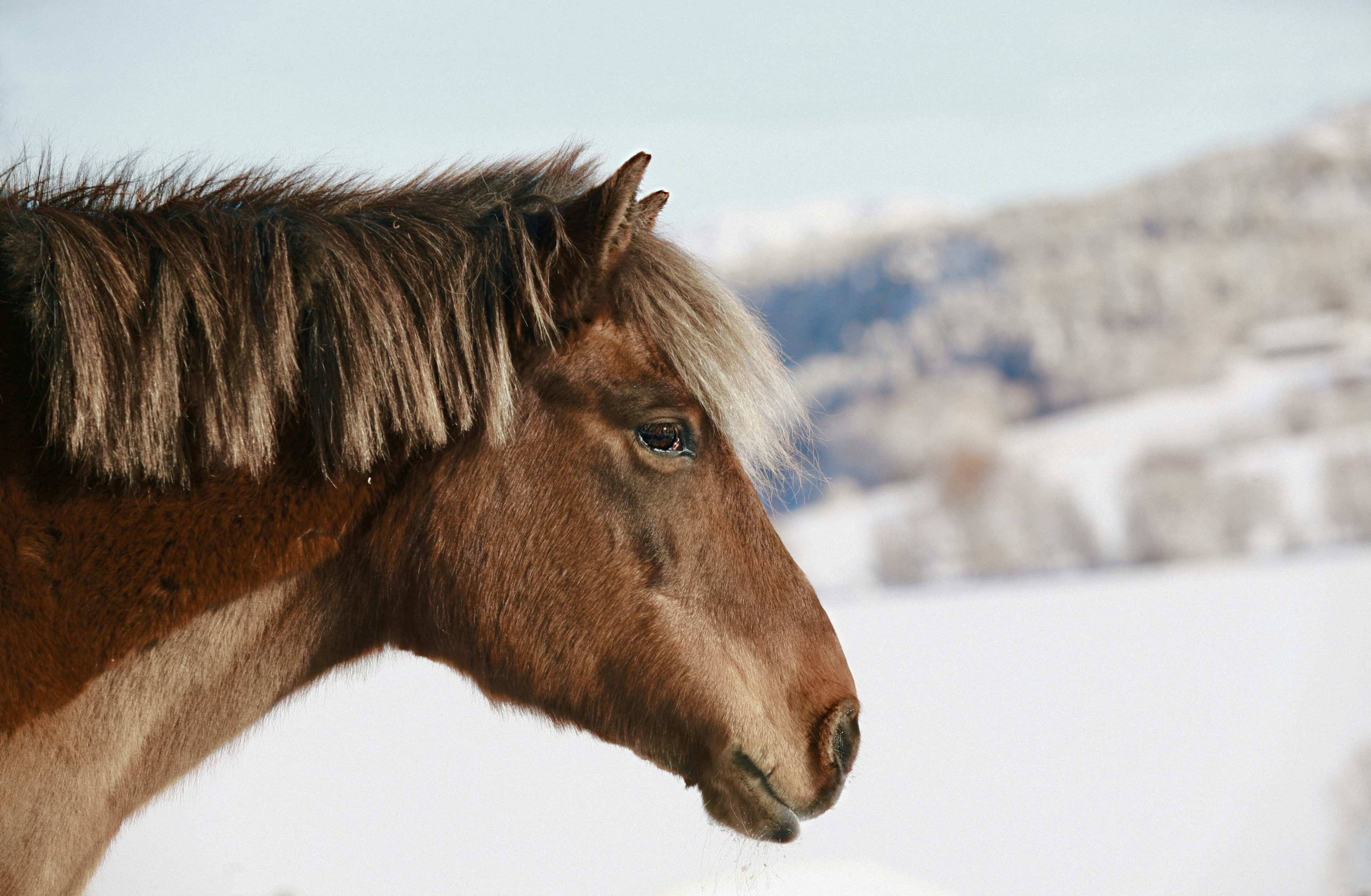 Photo by kristinokarlsen