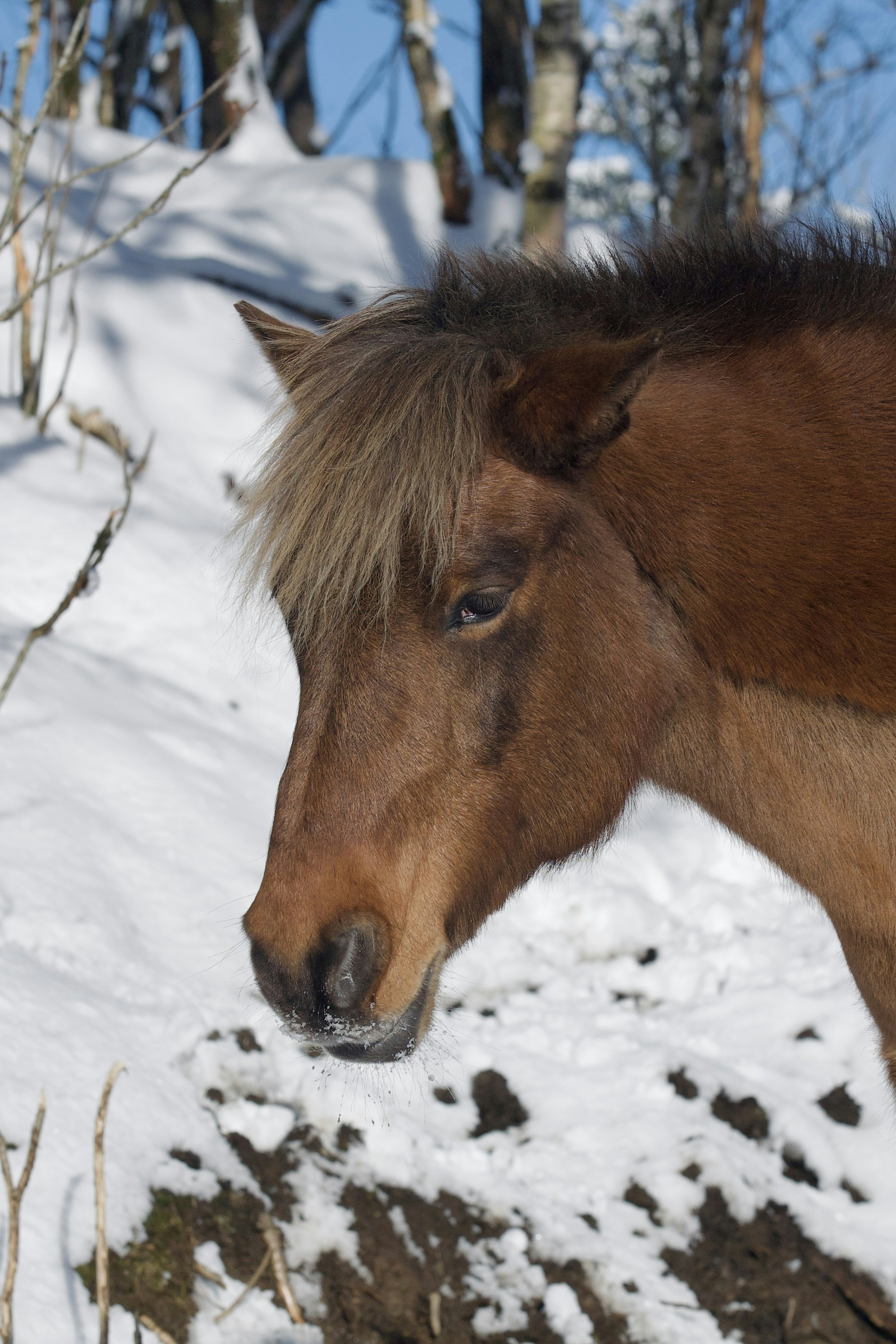 Photo by kristinokarlsen