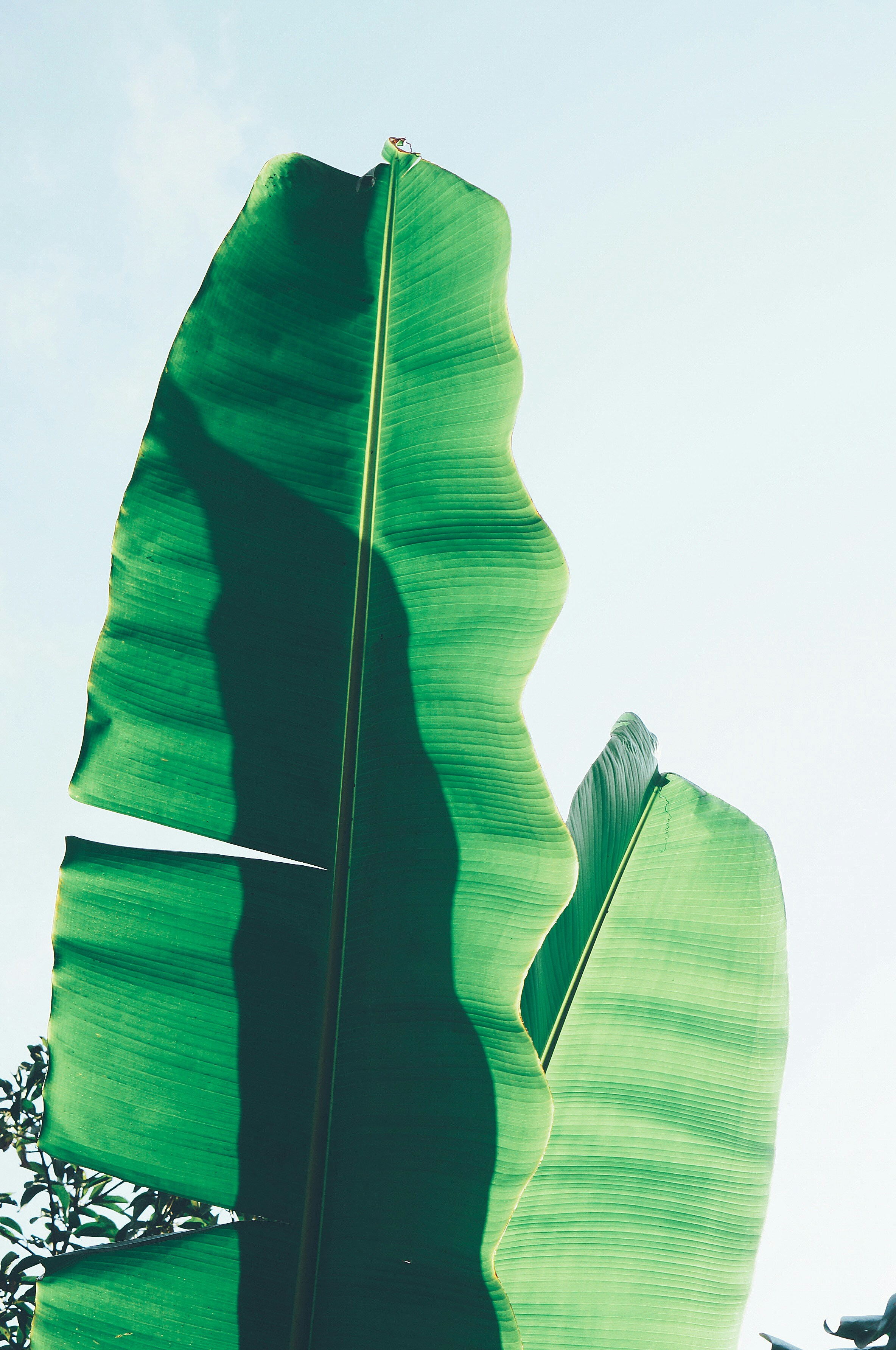 Complete putting green setup with professional accessories.