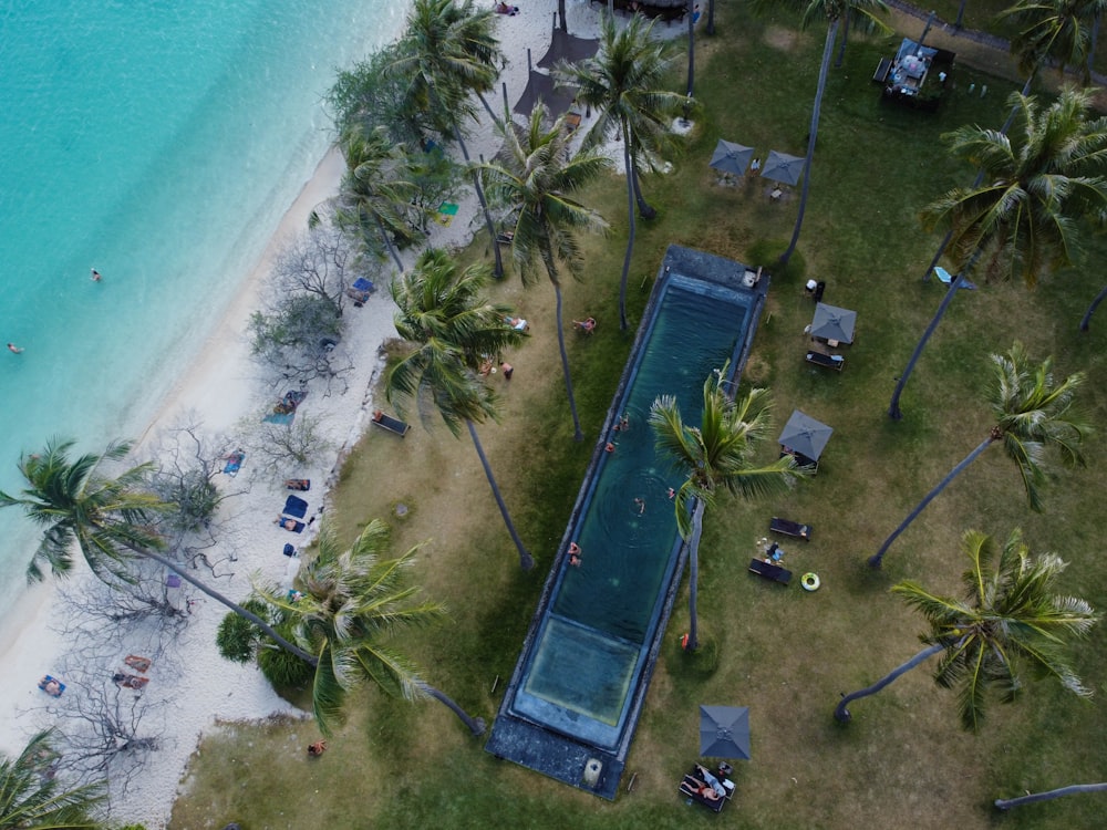 an aerial view of a beach with a pool surrounded by palm trees