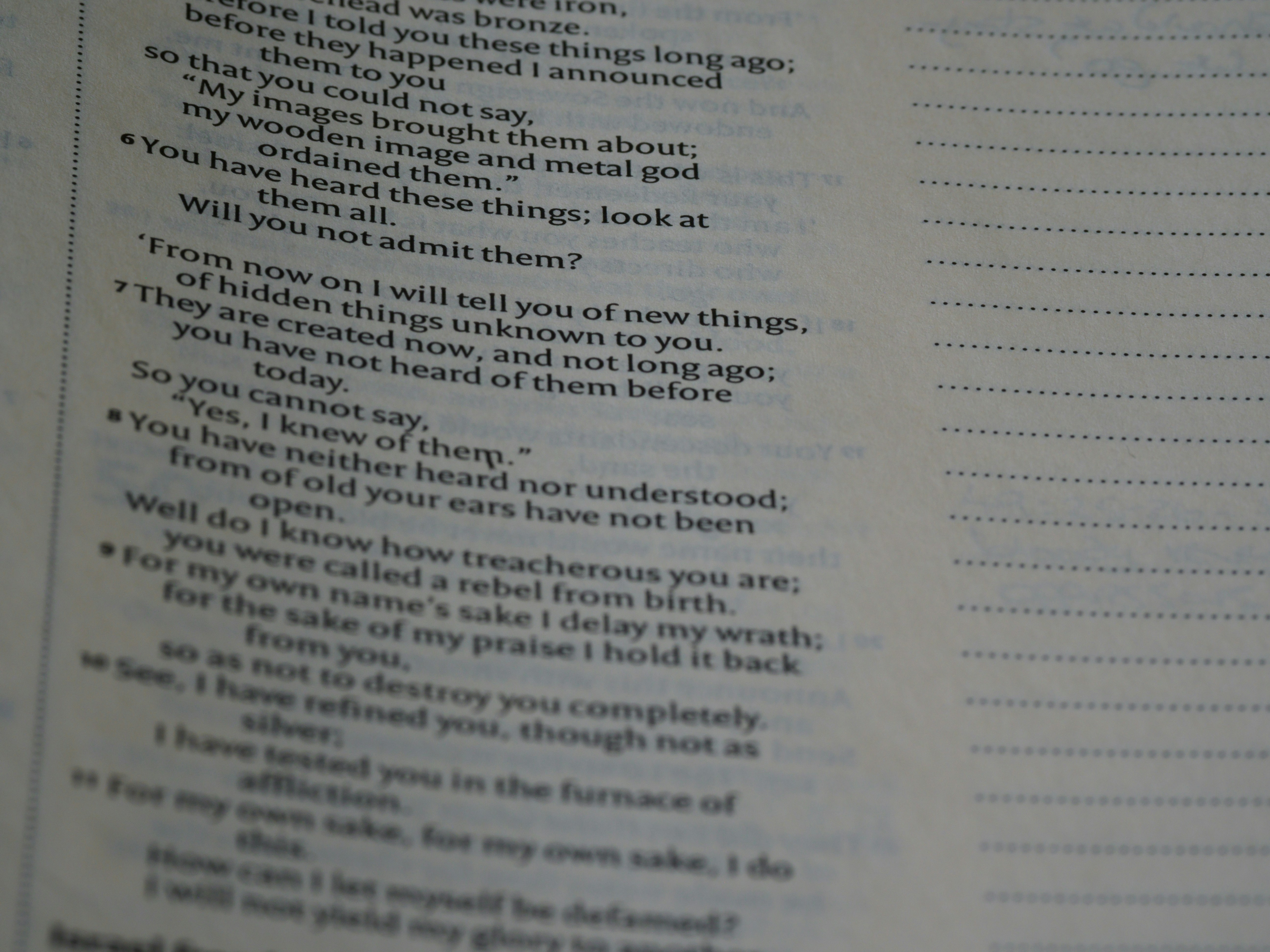 Photo by brett_jordan