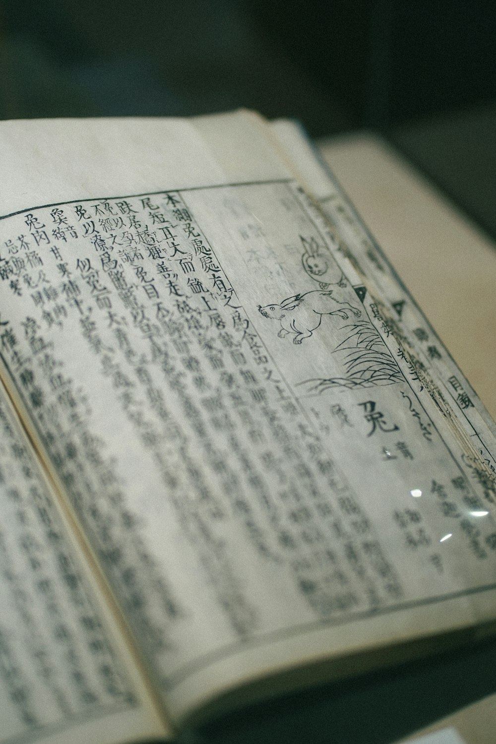 an open book with chinese writing on it