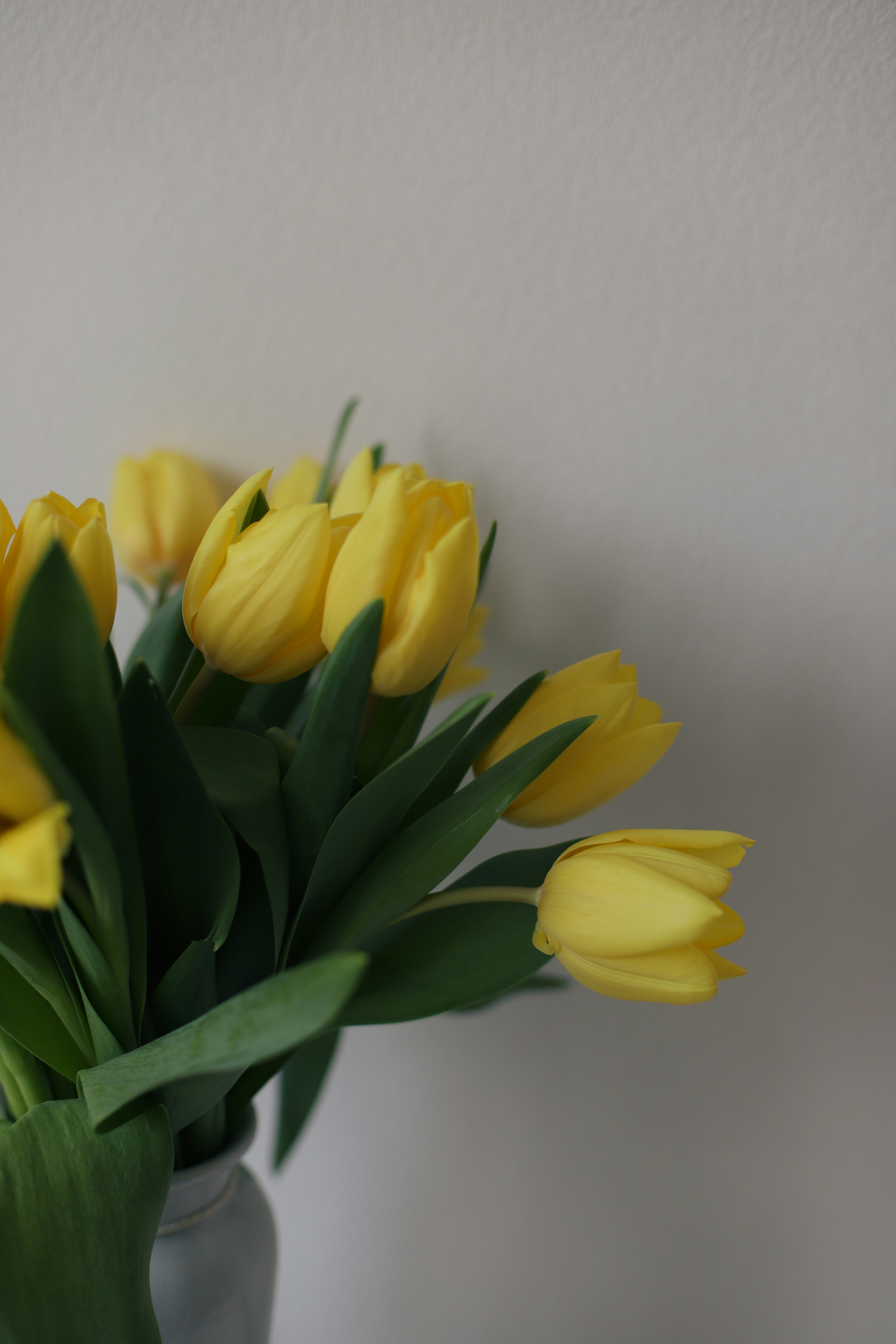 Photo by lapshinakseniia