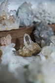 Various crystals and mineral formations displayed on a wooden surface, showcasing different shapes and transparency. The focus is on a central clear crystal with a surrounding collection of similar geological specimens.