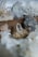 Various crystals and mineral formations displayed on a wooden surface, showcasing different shapes and transparency. The focus is on a central clear crystal with a surrounding collection of similar geological specimens.
