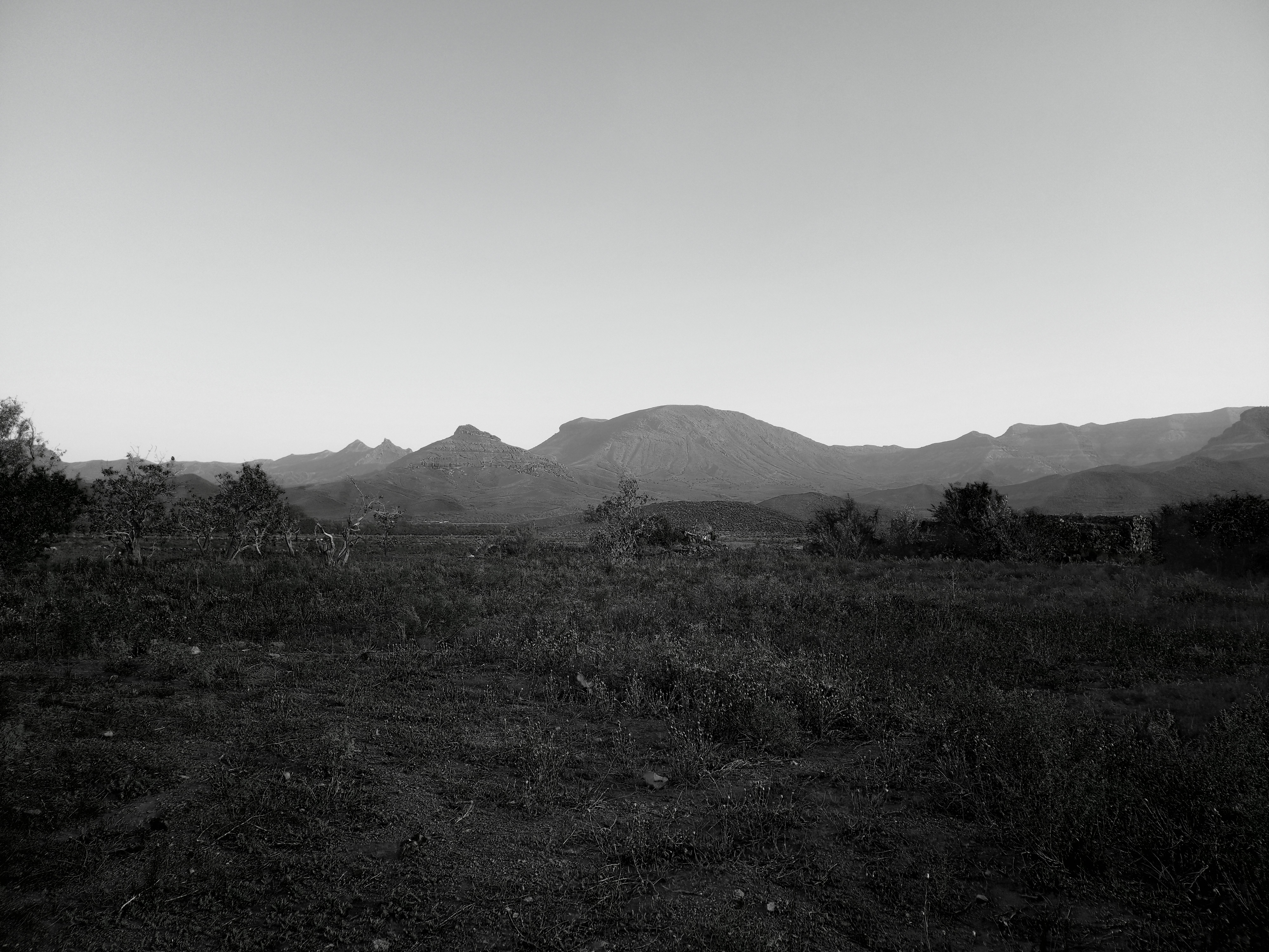 Photo by mehrdadghiasi