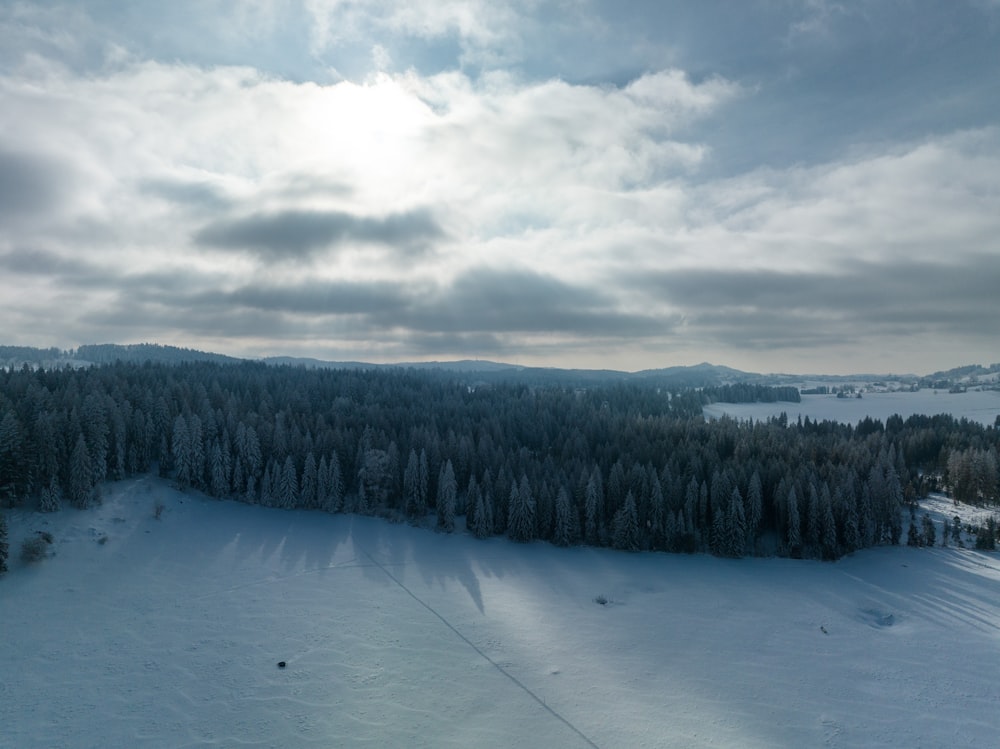 an aerial view of a snow covered forest