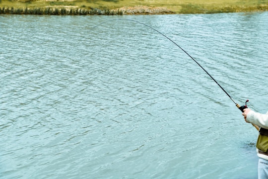 A fisherman casting a line into a calm river surrounded by lush greenery.