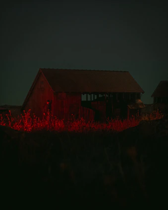 A bright poultry farm illuminated by Overdrive lighting systems at dusk.