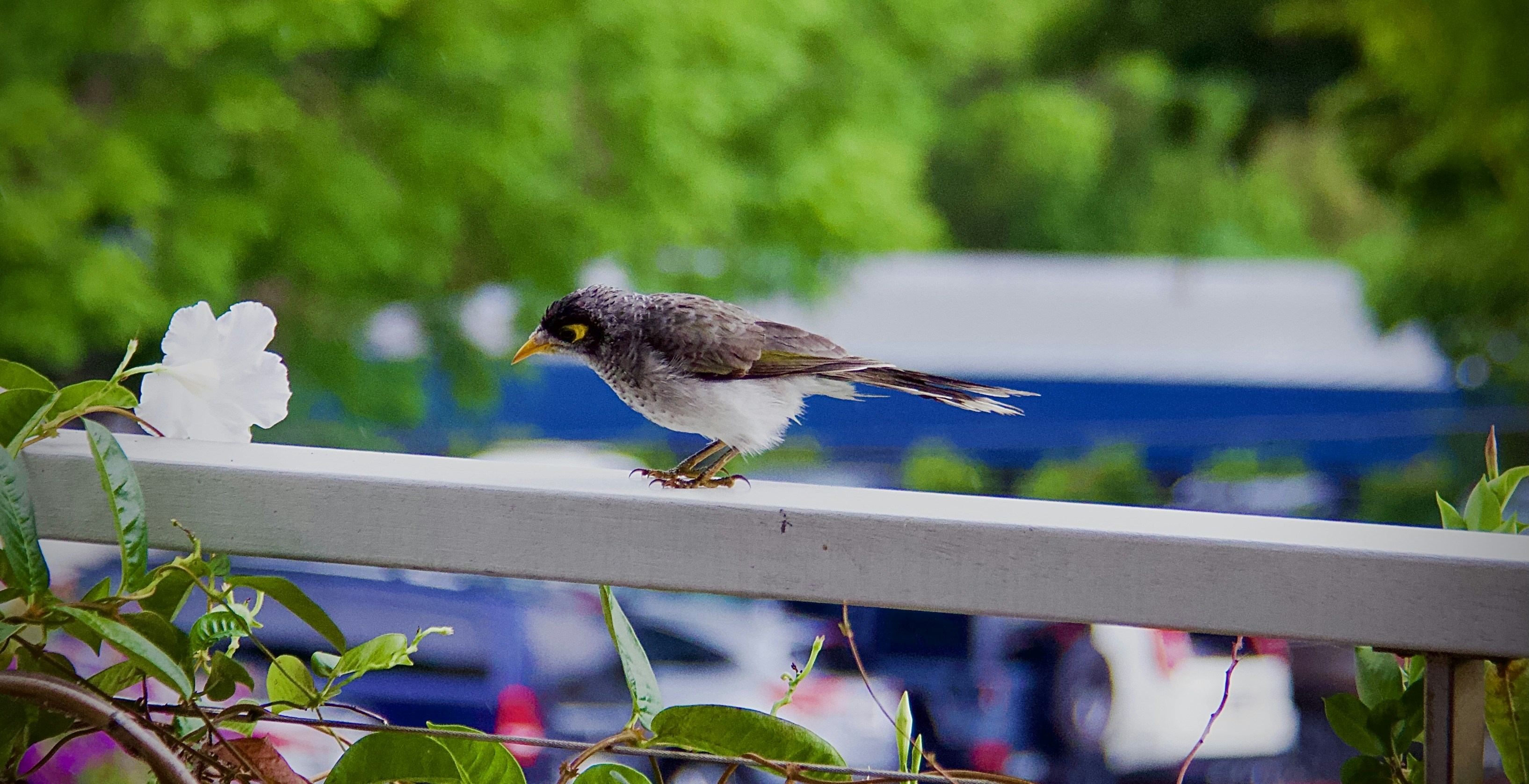 Photo by the_afternoon_photographer