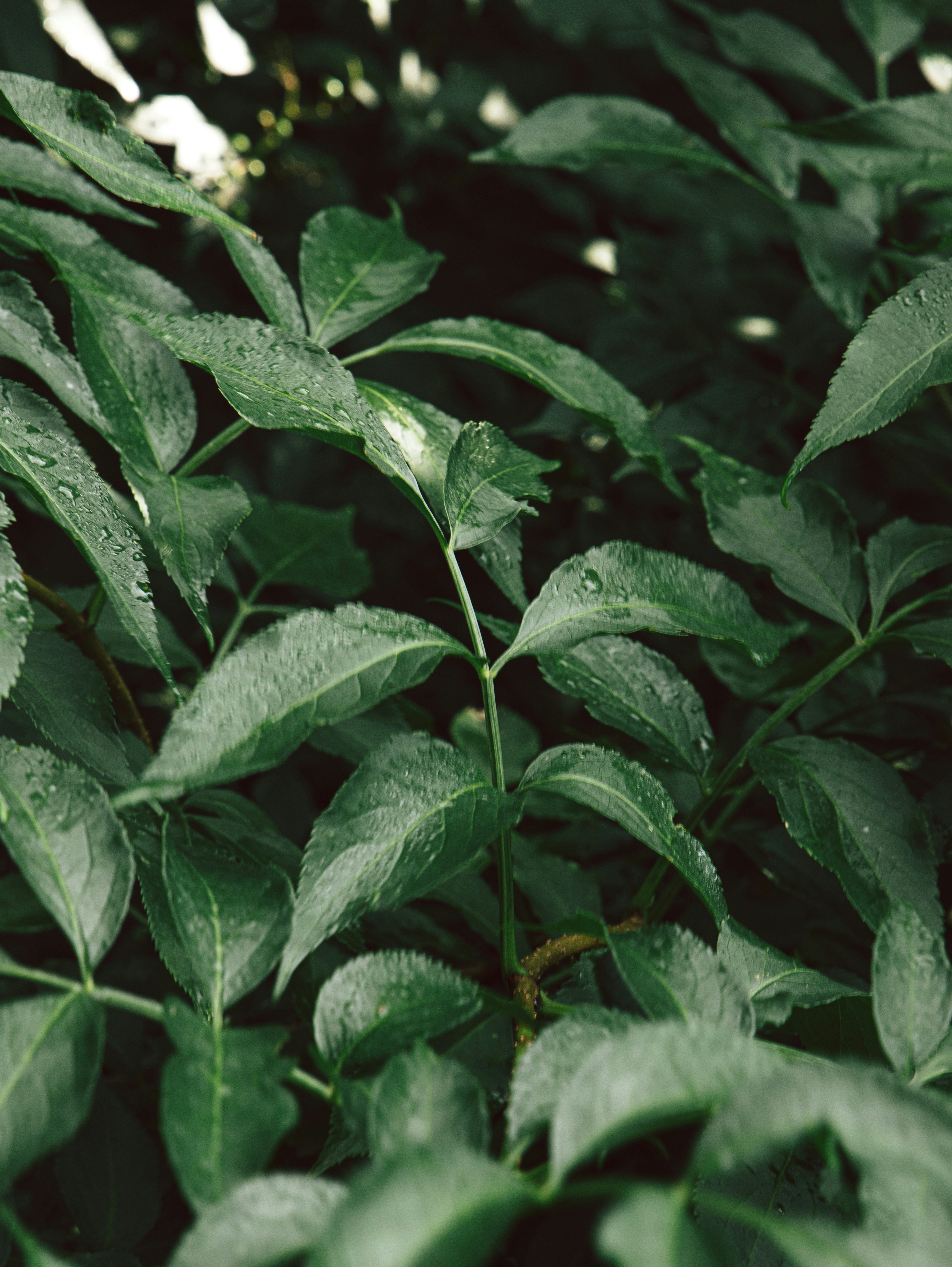 Photo by katharina_bill