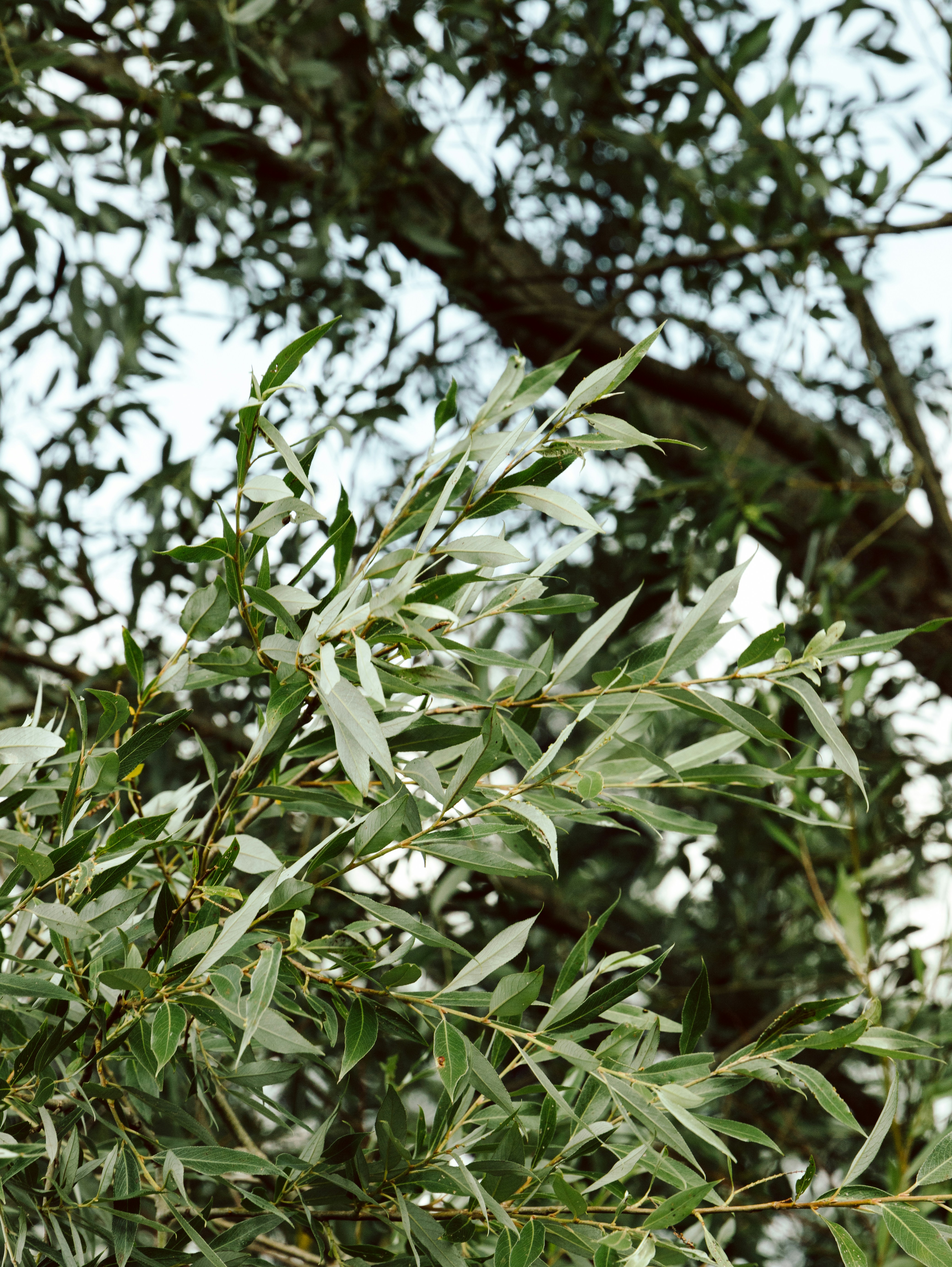 Photo by katharina_bill