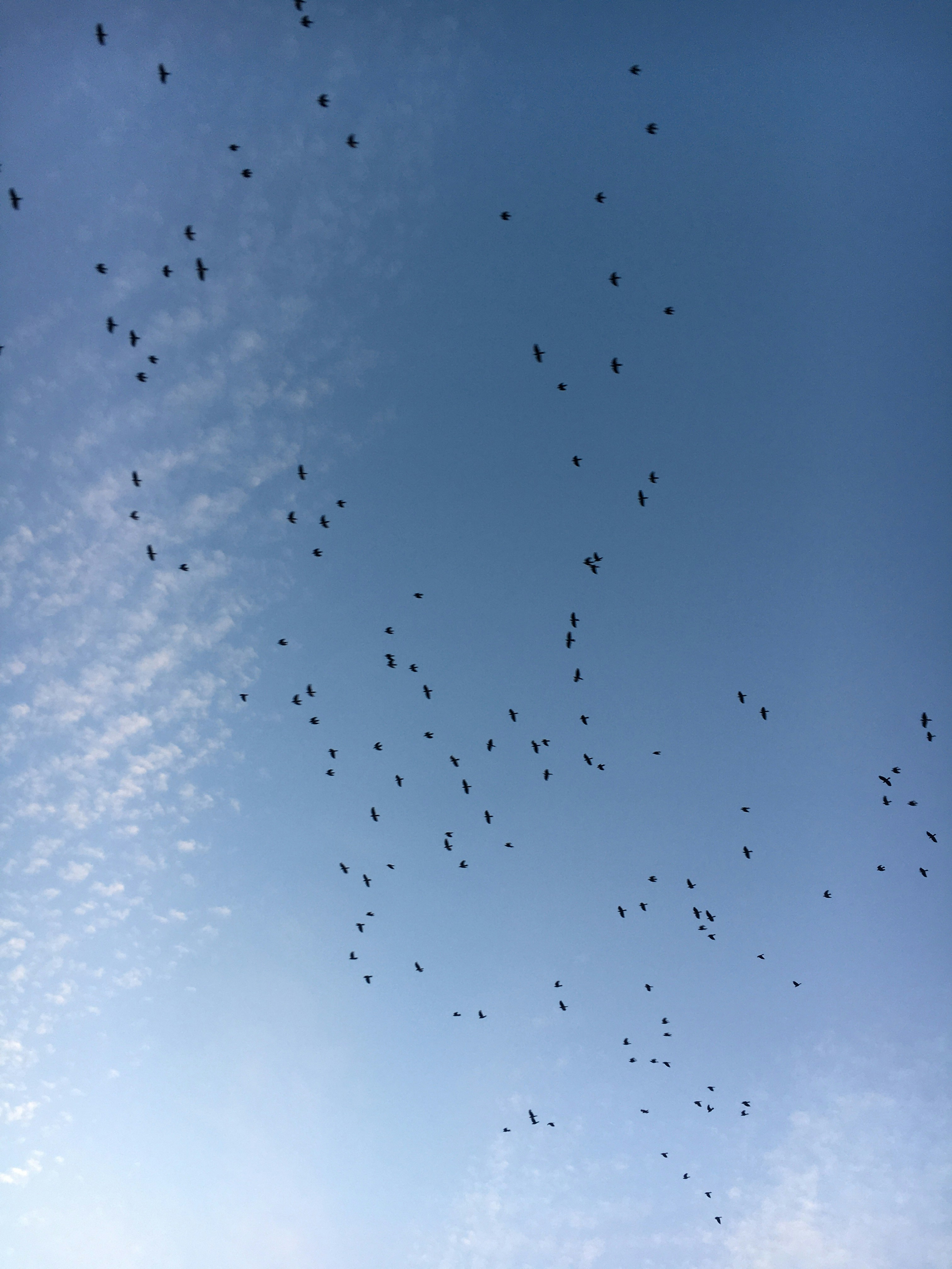 Photo by serifebetulbilge