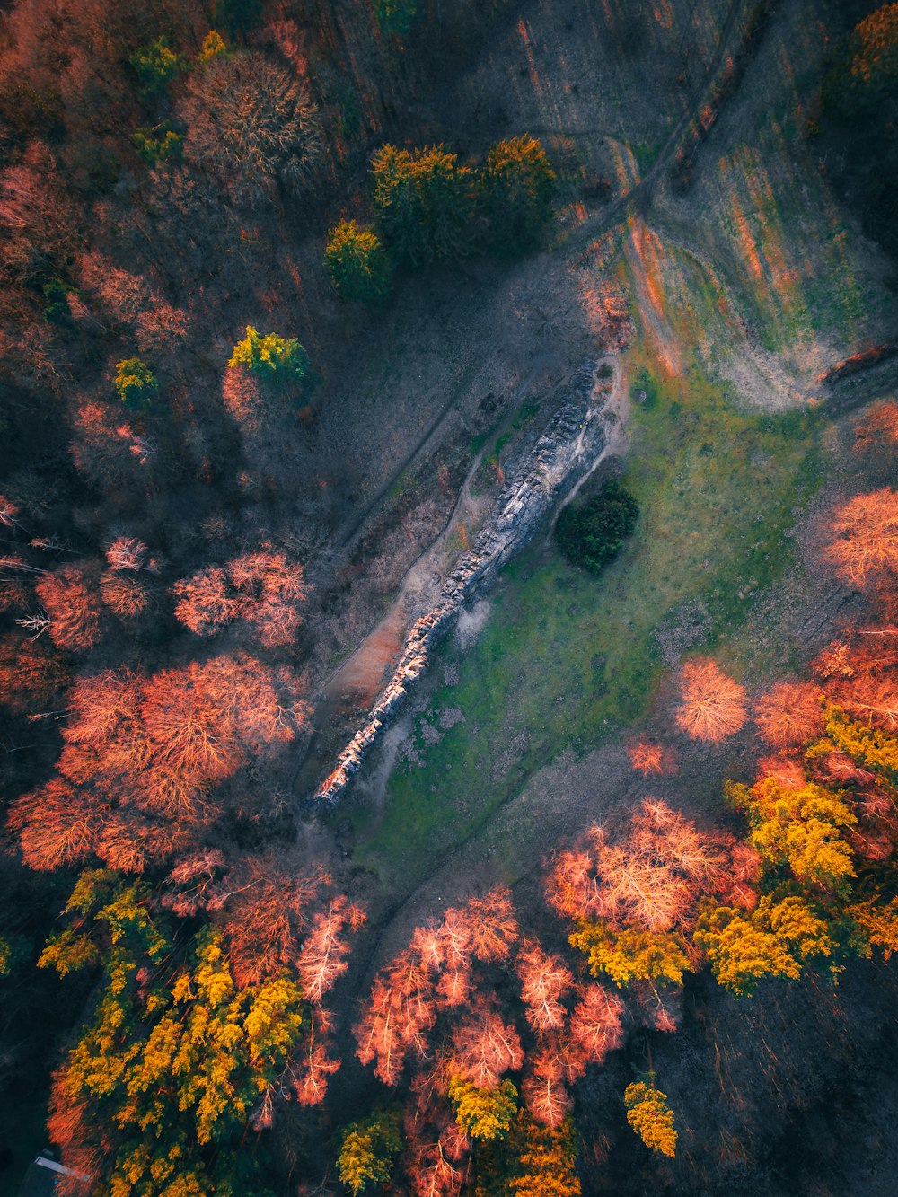 uma vista aérea de uma área gramada com árvores ao fundo
