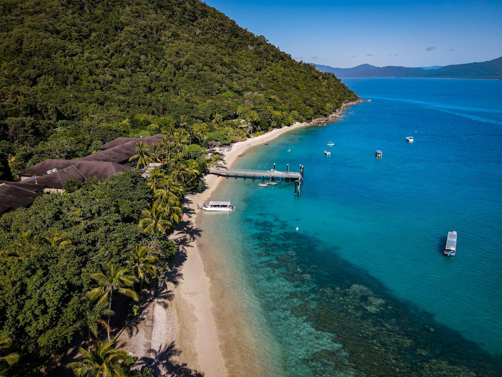 an aerial view of a beach with boats and trees