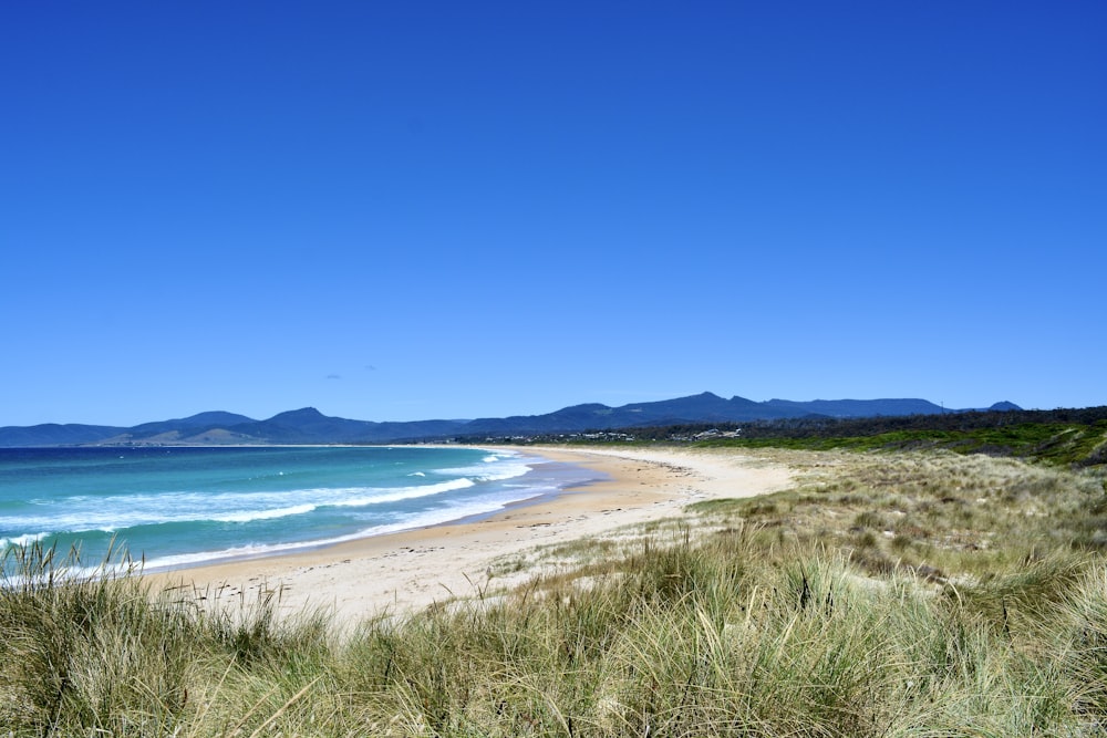 a sandy beach next to the ocean under a blue sky