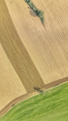 Aerial view of agricultural fields with clearly defined sections of harvested and unharvested areas. The fields display varying textures and patterns, with shades of green and brown indicating different crop stages or types. Some patches of green foliage appear sporadically within the brown areas.