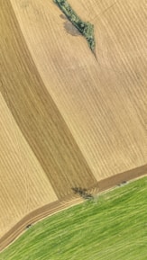 Satellite imagery overlay showing crop health variations across farmland.