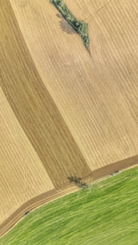 Close-up of multispectral sensor data being analyzed on a laptop in an agricultural setting.