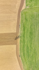 An aerial view of agricultural fields with distinct color contrast between a golden brown plowed field on the left and a vibrant green field on the right. The fields are divided by a narrow dirt path, and there are visible patterns created by tillage.