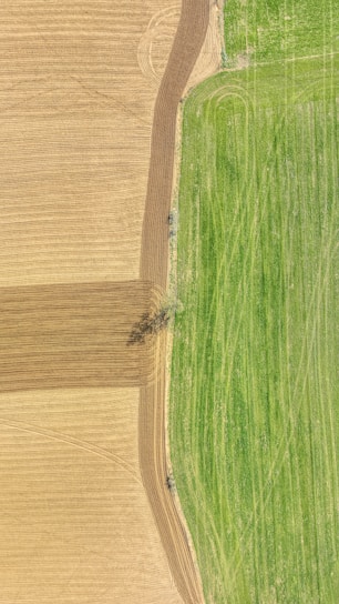 An aerial view of agricultural fields with distinct color contrast between a golden brown plowed field on the left and a vibrant green field on the right. The fields are divided by a narrow dirt path, and there are visible patterns created by tillage.