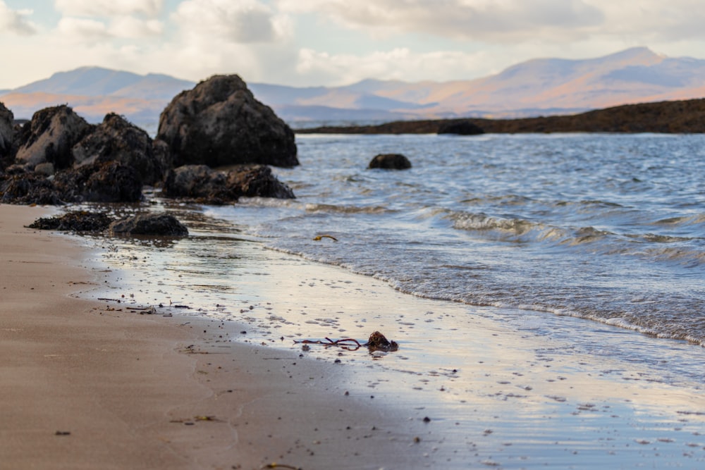 una spiaggia con rocce e acqua su di essa