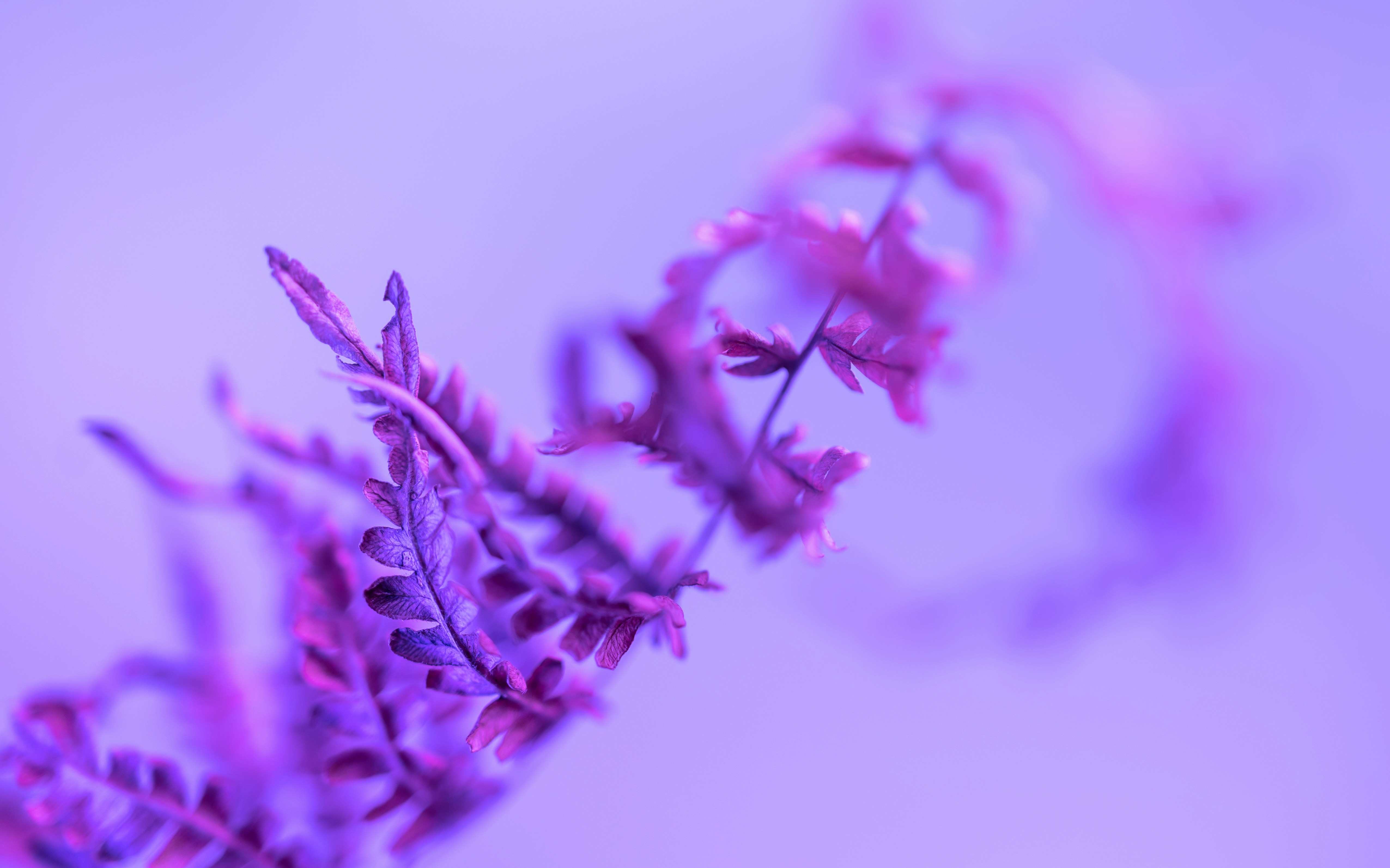 Photo by marekpiwnicki