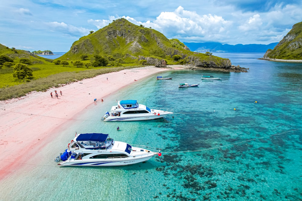 a group of boats that are sitting in the water