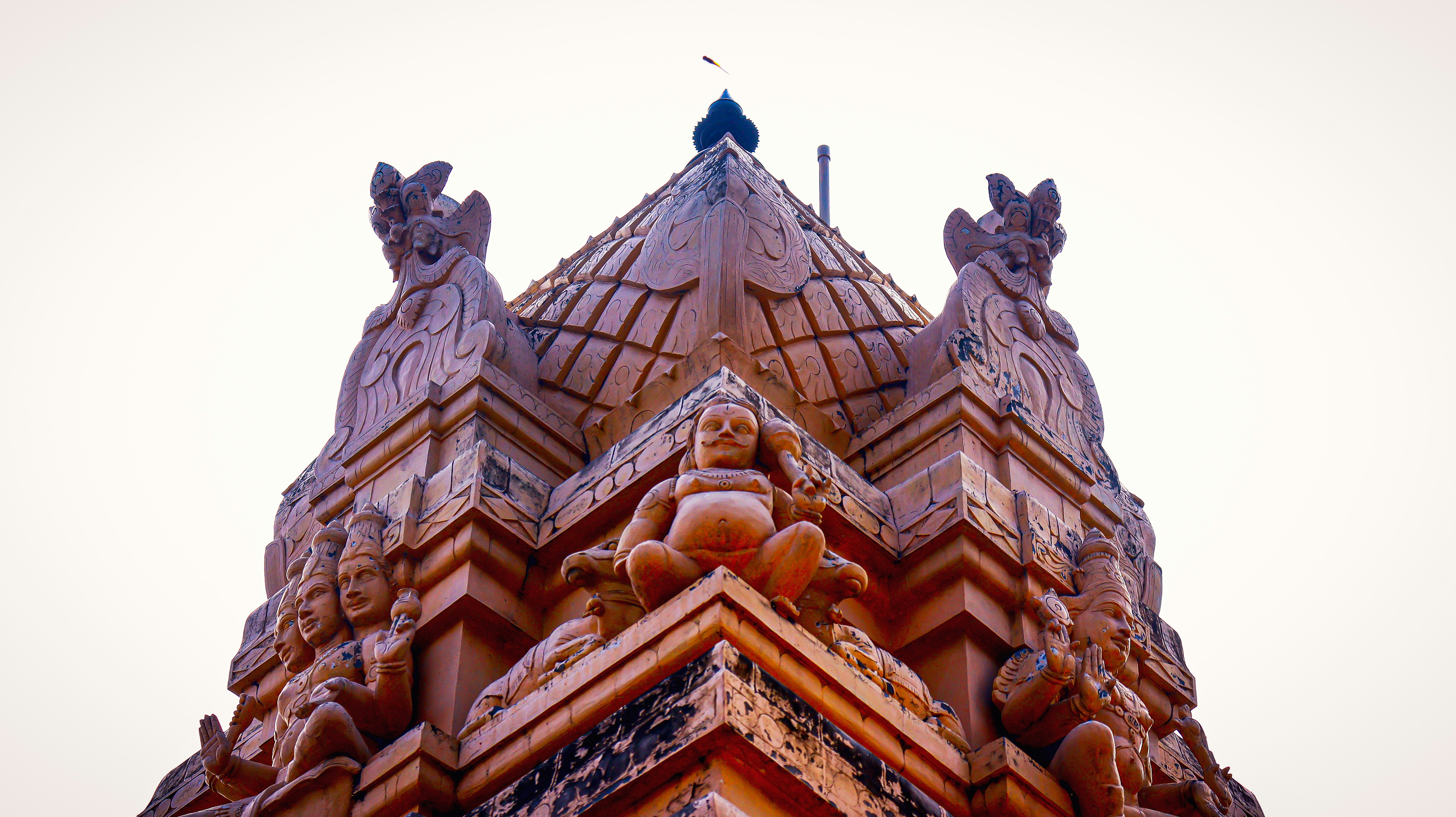 Photo by ajaylakshman