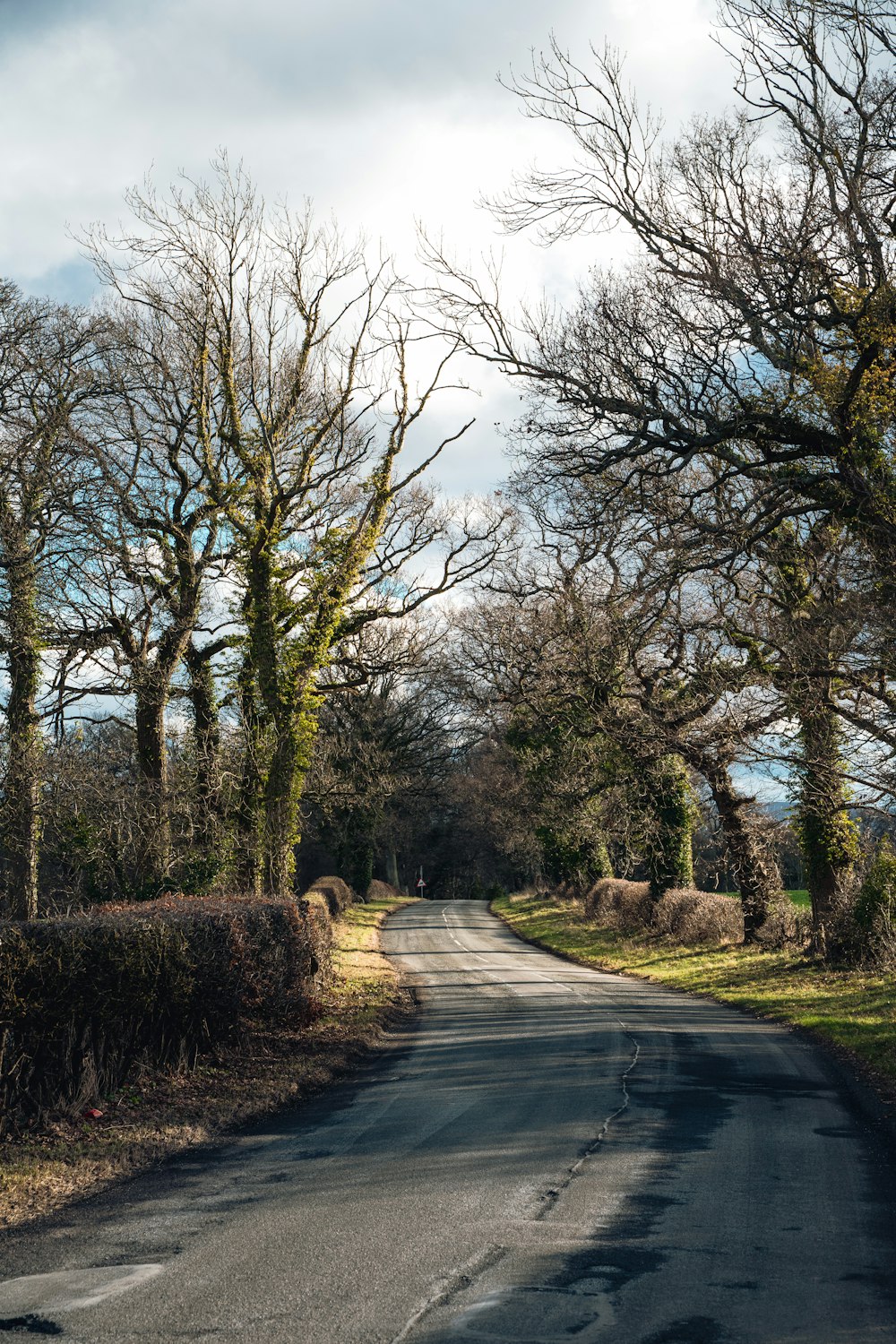 an empty road surrounded by trees on a cloudy day